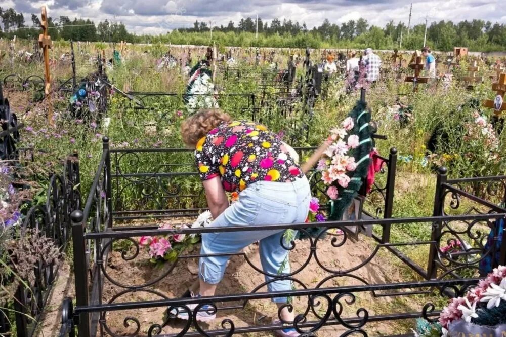 Похоронить в могилу к родственникам. Фотосессия на кладбище. Посетить кладбище.