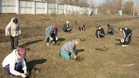 Погода устье хохольский