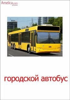 Карточка наземный транспорт