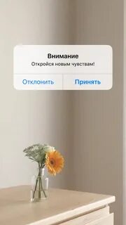 Откроется новая страница
