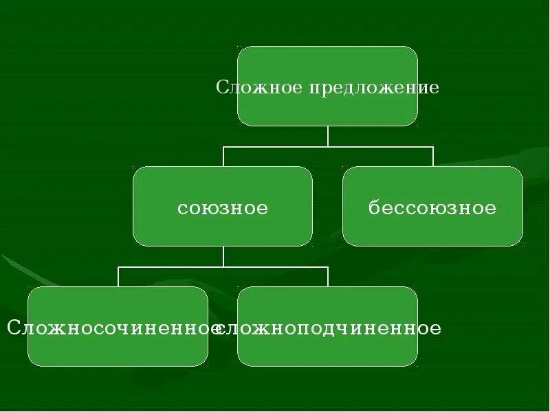 Практикум по теме спп 9 класс. Практикум по теме спп 9 класс