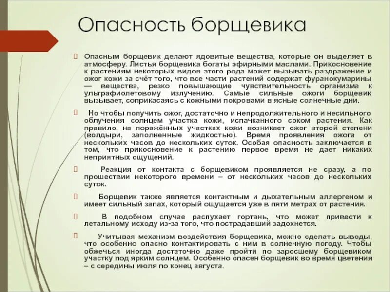 Борщевик вред. Борщевик сосновского ботаническая иллюстрация. Борщевик вред. Борщевик вред. Памятка по борьбе с борщевиком сосновского.