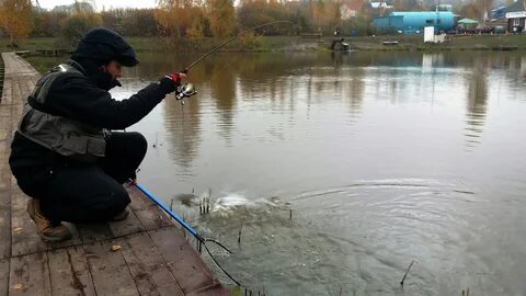 Фишка рыбалка