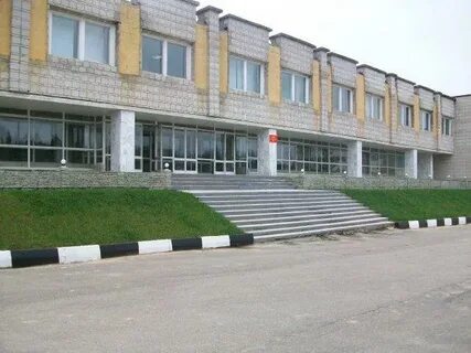 Ч 81