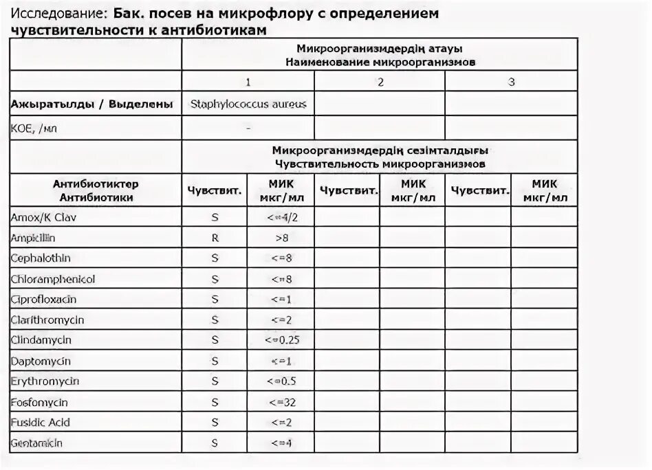 Как правильно сдать мочу на микрофлору. Как правильно сдать мочу на микрофлору