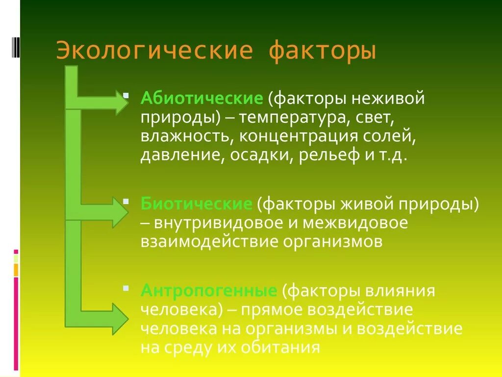 Три фактора окружающей среды. Экологические факторы. Факторы экологии. Факторы окружающей среды (неживой природы. Экологические факторы неживой природы.