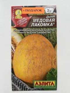 Дыня медовая отзывы описание сорта