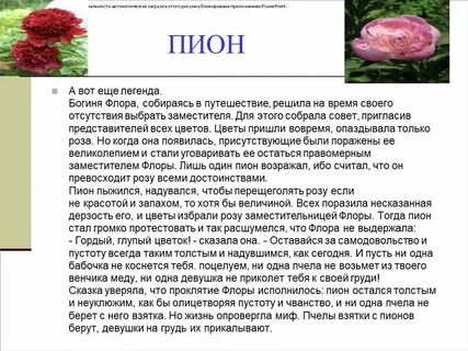 Красивые легенды о цветах