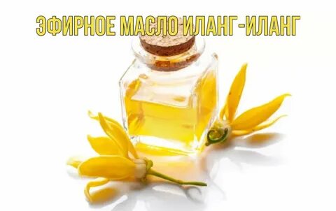 Масло иланг иланг
