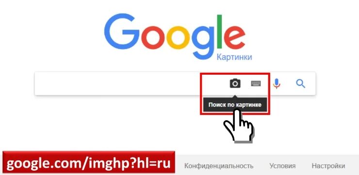 Гугл по картинке. Поиск изображения по картинке. Гугл поиск по фото. Google картинки поиск по картинке. Google найдите пожалуйста игры