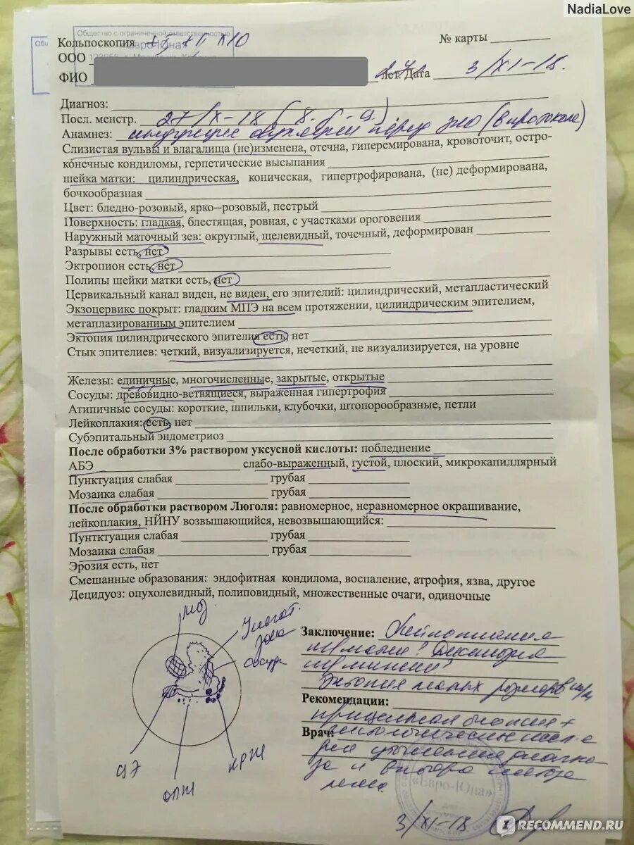 Можно сделать эко по омс. Направление на эко. протокол эко по омс в 2025. как выглядит направление на эко по омс. заключение уролога для эко по омс.
