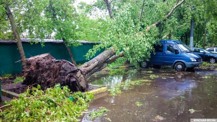 Ураган в Костромской области. Ураган Партизанск. Ураган в Приморье сейчас. Ураган в Америке. Торнадо в приморье