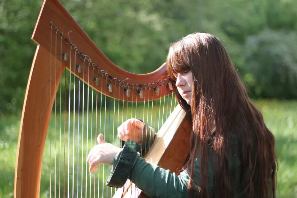 Художник даниэль ф. Вера дулова арфистка. Эльфийская арфа. Анна верхоланцева арфистка. Древняя греция арфистки.