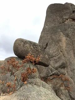 Возвышаются каменные глыбы гор