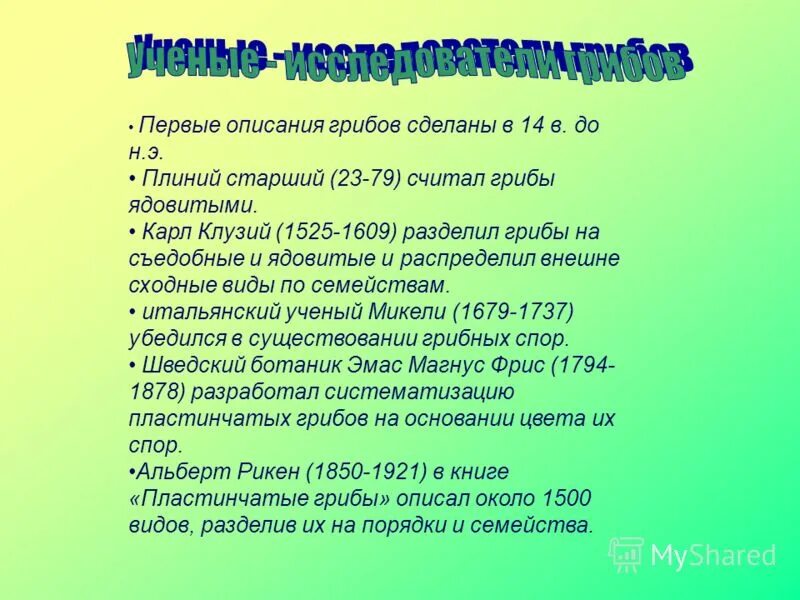 Какое основание позволило разделить грибы на группы. Грибы исследователь ученый. Гриб основание деления. Какое основание позволило разделить грибы.