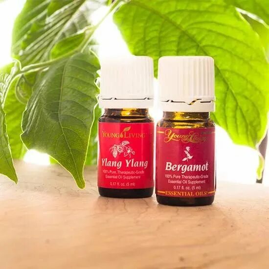 Ylang Ylang +эфирное масло young Living. Иланг иланг young Living. Эфирное масло бергамота young Living. Китайское эфирное масло. Афродизиак масло для женщины