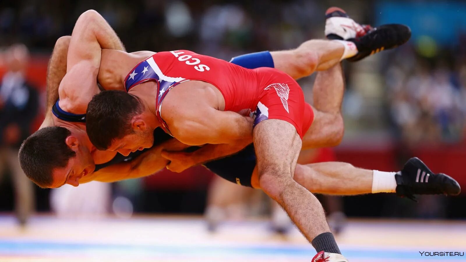 Борцы атлеты. Борцы атлеты. Фото борцов. Греко-римська боротьба. Парни борцы.