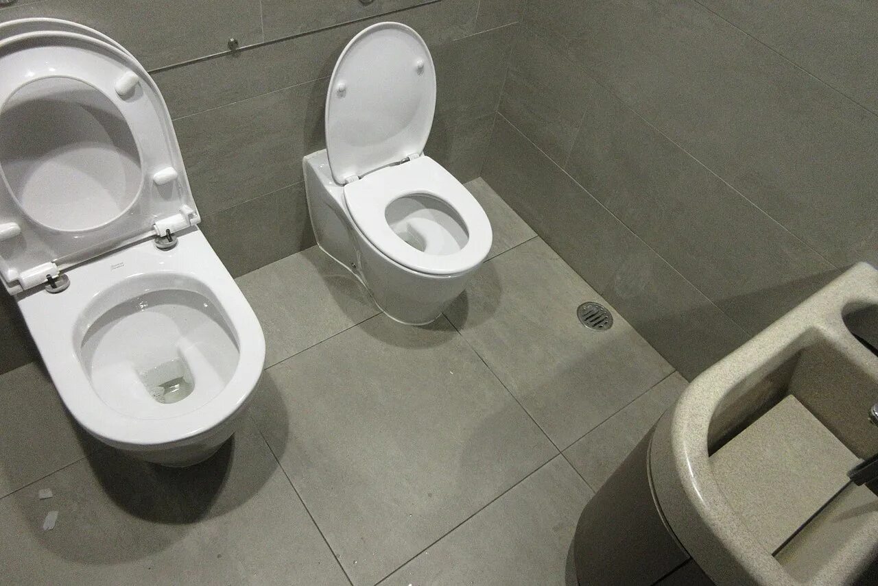 Туалет предназначен для. Ведро-туалет "лотос" (уп. Кресло-туалет 10589. Туалет предназначен для. Туалет предназначен для.