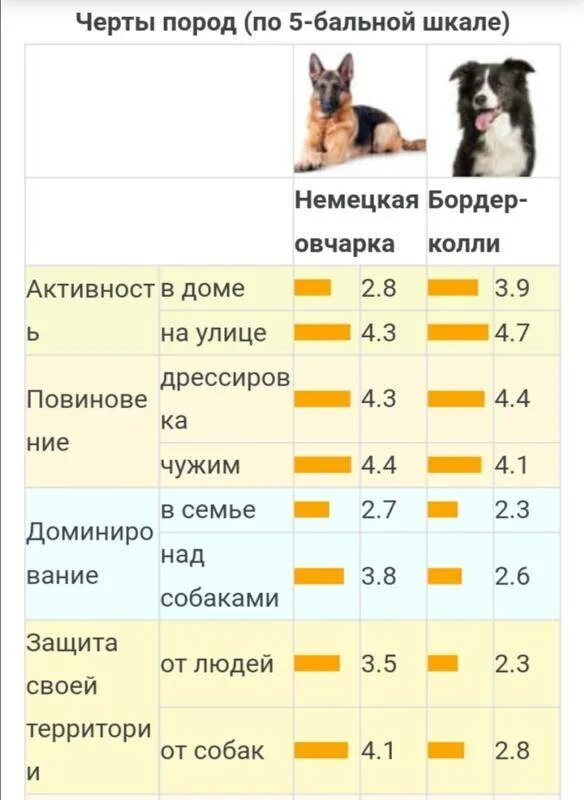 Чем кормить немецкую овчарку в 2