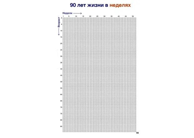 Сколько недель в среднем