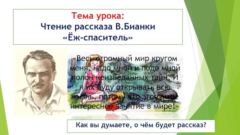 Еж Спаситель Бианки презентация. Еж Спаситель Бианки. Бианки еж. Рассказ еж Спаситель. Еж спаситель основная мысль