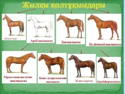 Үштік секс фмф