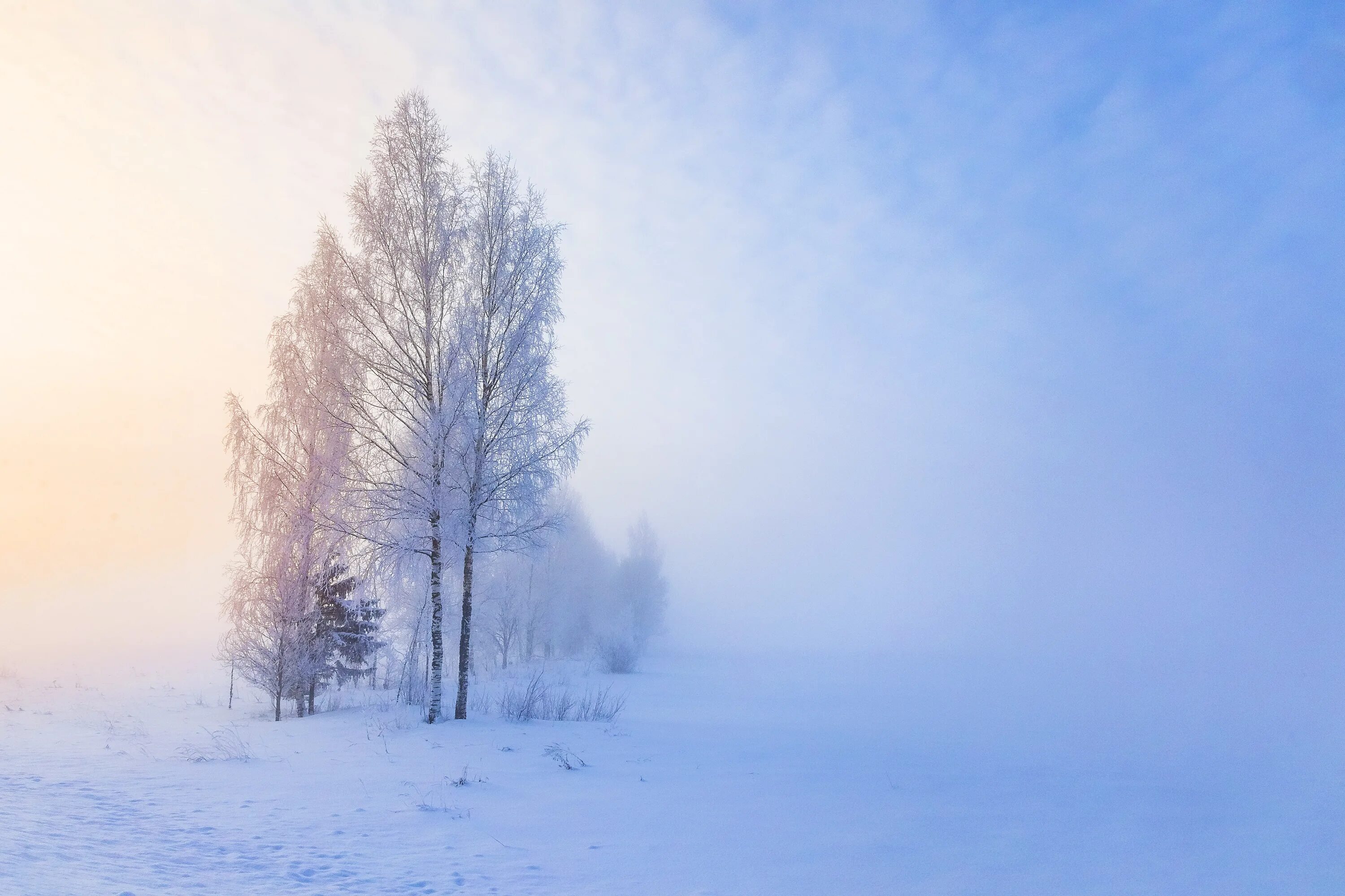 Февральские туманы. Аномальный холод. Мороз зимой. 35 мороза. 35 мороза.
