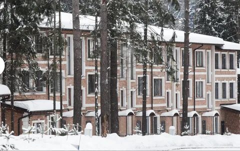 Поселок елочка