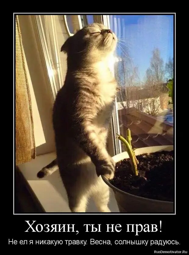 Запахло весной хозяин. Алло бутырка а когда уже запахнет весной. Запахло весной бутырка. Запахло весной хозяин. Запахло весной бутырка.
