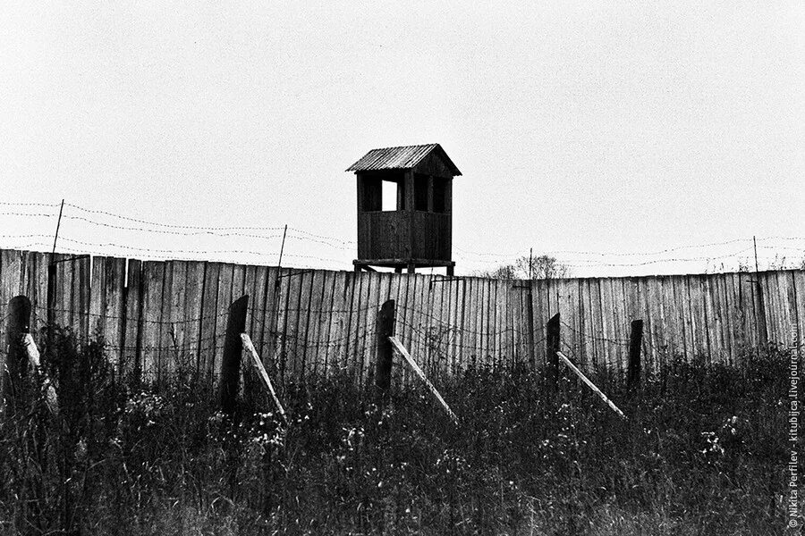 Дорога гулага