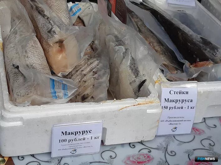 Рыба макрурус что это за рыба отзывы. Рыба макрурус что это за рыба отзывы