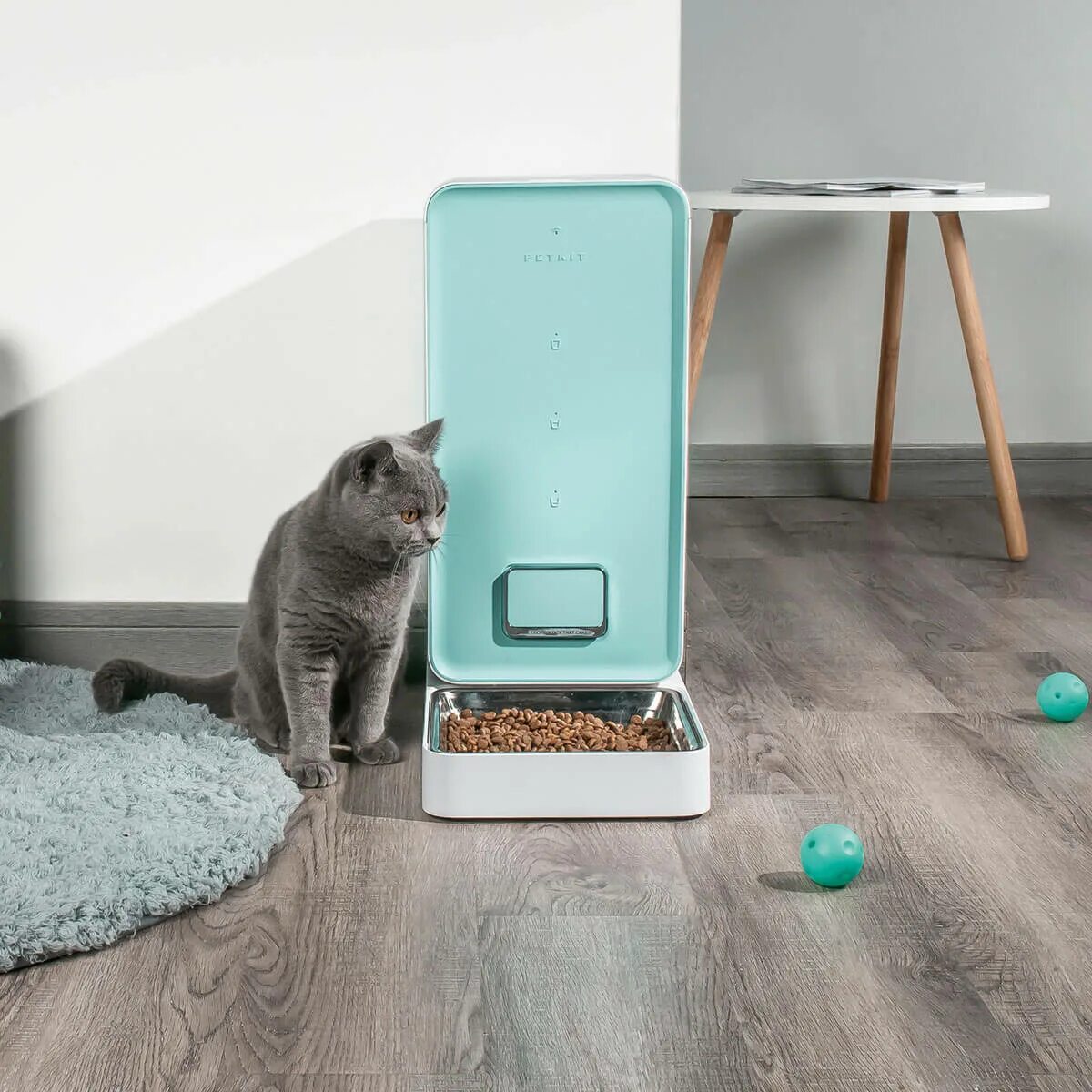 Petkit fresh element. Petkit smart feeder. автоматическая кормушка для кошек ксяоми. умный кошачий туалет xiaomi petkit.