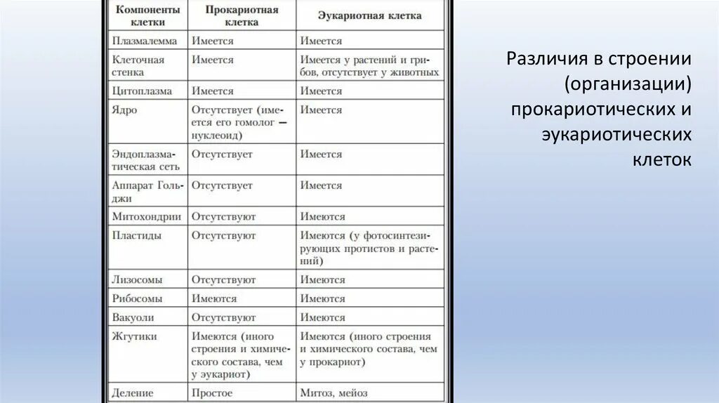 Сравнить эукариот и прокариот. Отличия прокариот и эукариот таблица. Различие эукариотической и прокариотической клетки таблица. Сходства и различия эукариот и прокариот таблица. Отличие клеток прокариот и эукариот.