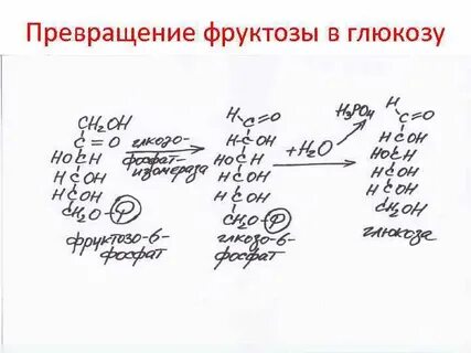 Фруктоза превращается