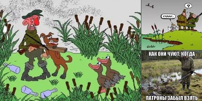 анекдоты про охотничьих собак