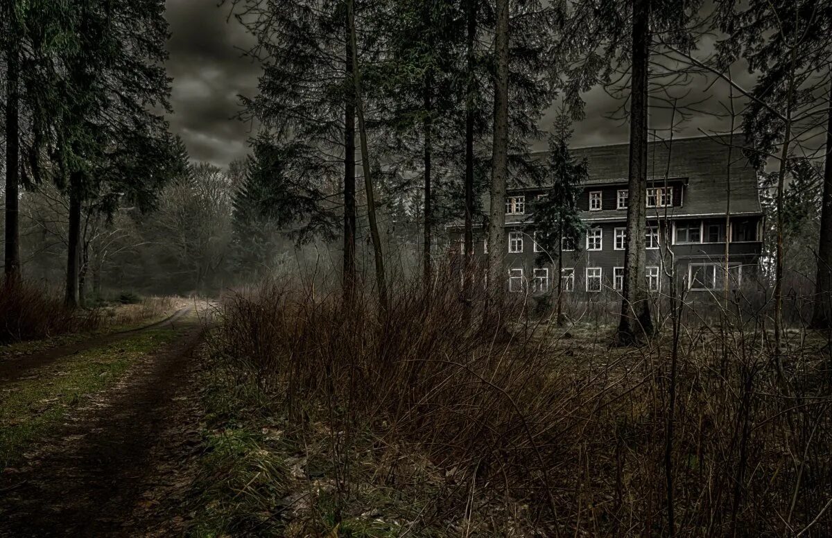Фото темного места. Жуткое место в лесу. мрачное место. мрачные фото. заброшенный лес.