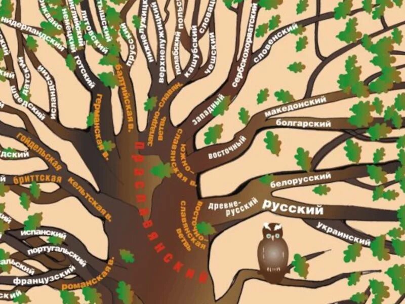 Древо языков индоевропейские языки. Славянская группа языков. Корни славянских языков. Древо славянских языков. Корни славянских языков.