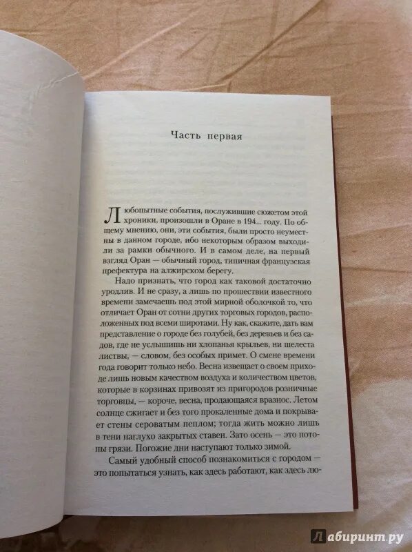 Содержание книги чума. Книга чума (камю альбер). отрывки из книги чумные ночи. чума камю обложка.