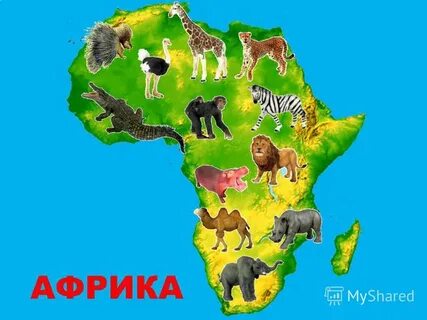 Нарисовать материк африка 2 класс окружающий мир