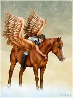 Pegasus ride ltd