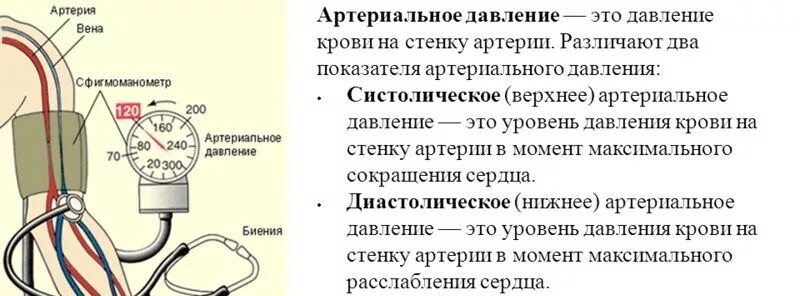 Нижнее давление 100. Расшифровка измерения артериального давления у человека. Как называется давление у человека. Что означают цифры давления на тонометре у человека верхнее и нижнее. Что означают показатели давления верхнее и нижнее на тонометре.