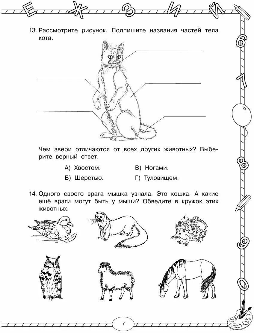 Животные контрольная работа
