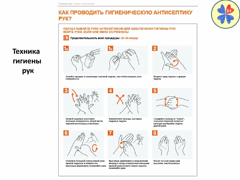 Схема обработки рук. Как проводить гигиеническую антисептику рук воз. Обработка рук антисептиком алгоритм. Схема обработки рук кожным антисептиком.