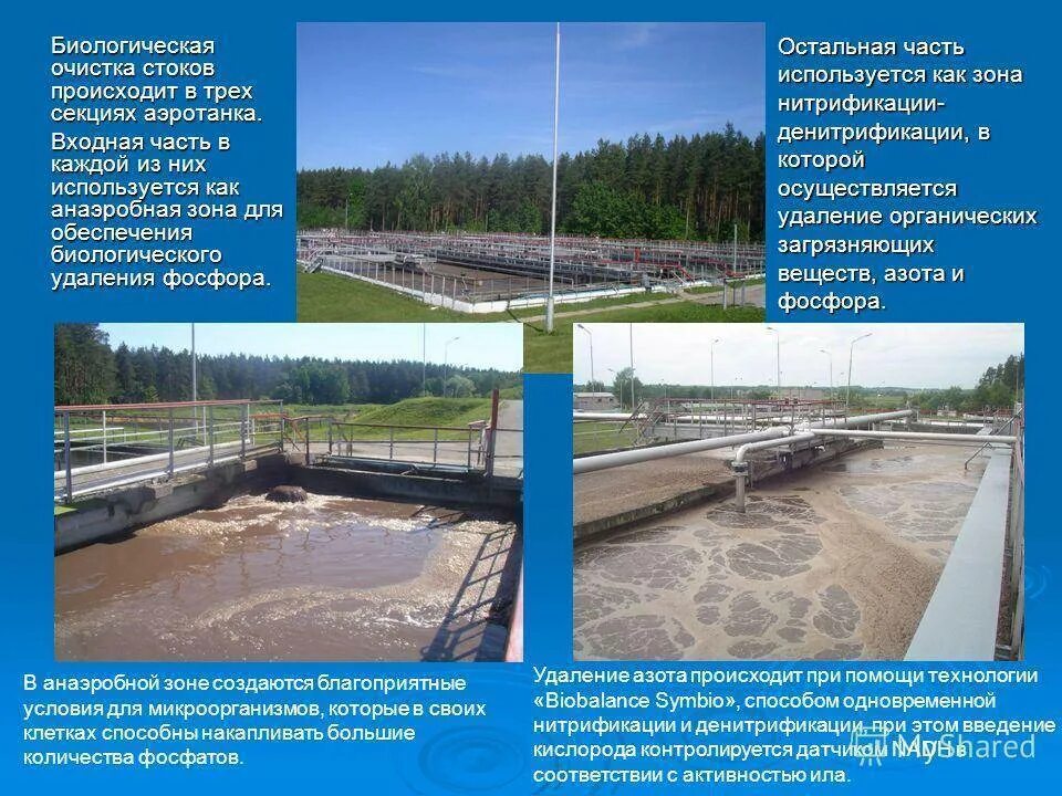 Сооружение биологической очистки. Биологический метод очистки сточных вод. биологический этап очистки сточных вод. основа метода биологической очистки сточных вод:. биологическая фильтрация очистных сооружений.