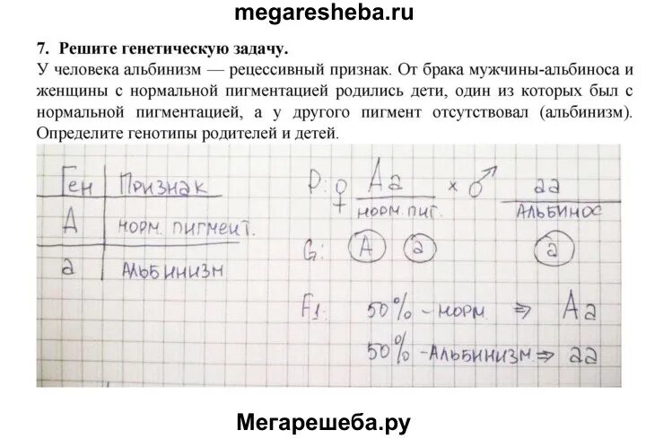 Решение задач по биологии 10 класс генетика. Задачи по биологии. Задачи на генетику. Задачи по генетике. Решение задач по генетике.