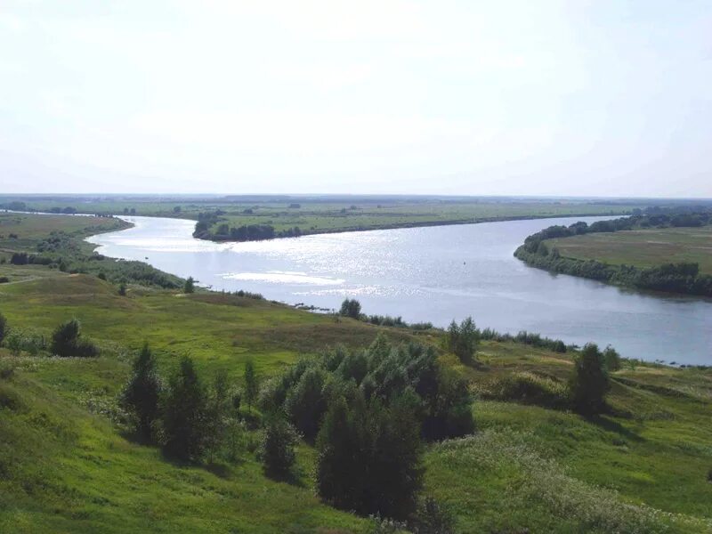 Река Томь впадает в Обь. Место впадения Томи в Обь. Река Обь Рязанская область. Устье река Томь Обь.