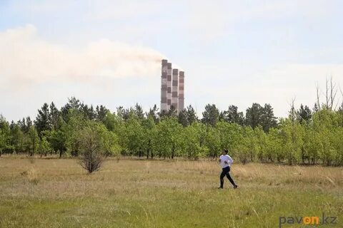Павлодар северный