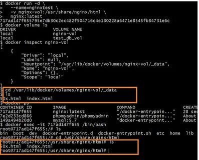 Docker data
