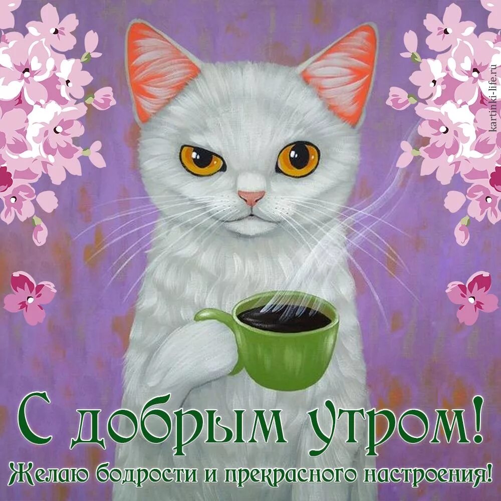 Музыка бодрящая для настроения. Открытки с добрым утром п. Открытки с добрым утромпикольные. Картинки с добрым утром прикольные. Открытки доброе утро прикольные.
