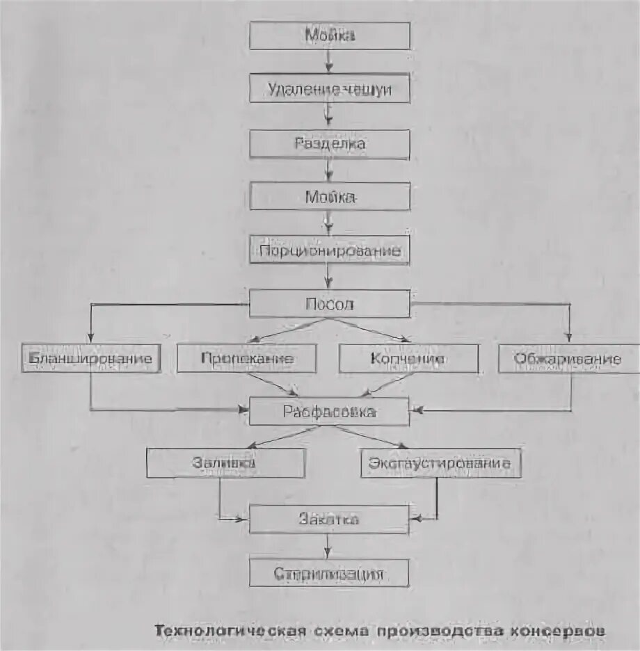 Технологическая схема производства мясных паштетов. Суп картофельный с консервами из рыбы технологическая карта. Рыба под маринадом технологическая карта. Технологическая схема производства мясных паштетов. Схема производства рыбных консервов.